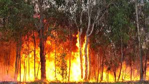 bushfire.png: 299x168, 14k (February 08, 2026, at 02:48 am)